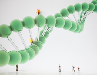 Kleine Figuren laufen auf einem DNA-Strang.