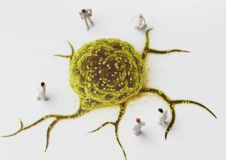 Teaser_Keyvisual_BudT_Oktober_2013