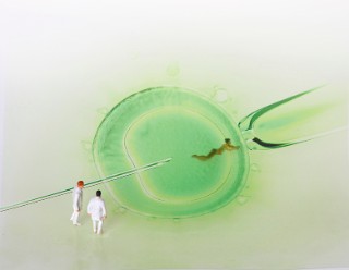 Teaser_Keyvisual_BudT_März_2015