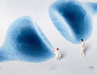 Teaser_Keyvisual_BudT_November_2018