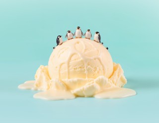 Blick über den Tellerrand September 2025