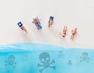 Blick über den Tellerrand März 2026 