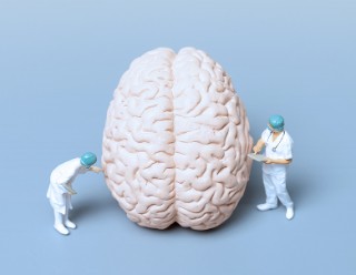 Blick über den Tellerrand Mai 2026