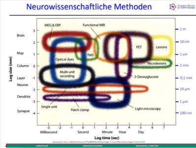 Professor Dr. Eckhard Friauf erläuterte in seinem Tellerrandvortrag den Vor- und Nachteil von gängigen neurowissenschaftlichen Methoden.